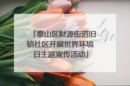 泰山区财源街道旧镇社区开展世界环境日主题宣传活动