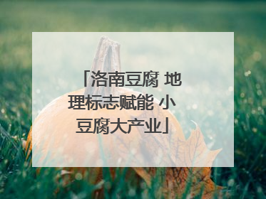 洛南豆腐 地理标志赋能 小豆腐大产业