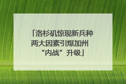 洛杉矶惊现新兵种 两大因素引爆加州“内战”升级