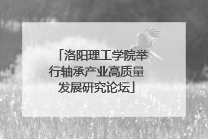 洛阳理工学院举行轴承产业高质量发展研究论坛
