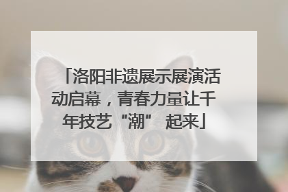 洛阳非遗展示展演活动启幕，青春力量让千年技艺“潮” 起来
