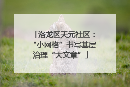 洛龙区天元社区：“小网格”书写基层治理“大文章”