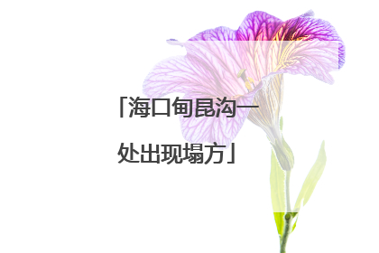 海口甸昆沟一处出现塌方