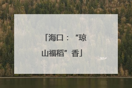 海口：“琼山福稻”香