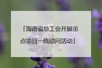 海南省总工会开展重点项目一线慰问活动