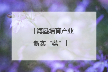 海垦培育产业新实“荔”