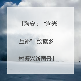 海安：“渔光互补” 绘就乡村振兴新图景