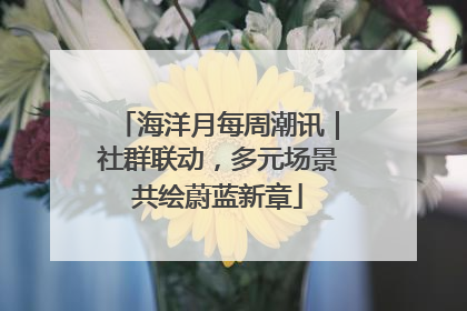 海洋月每周潮讯｜社群联动，多元场景共绘蔚蓝新章