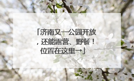 济南又一公园开放，还能露营、野餐！位置在这里→