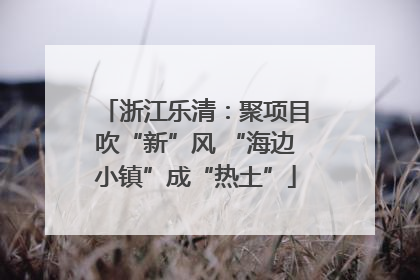 浙江乐清：聚项目吹“新”风 “海边小镇”成“热土”