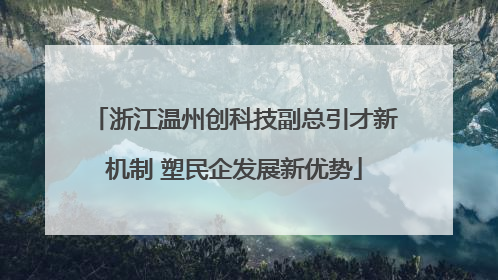 浙江温州创科技副总引才新机制 塑民企发展新优势