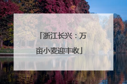 浙江长兴：万亩小麦迎丰收