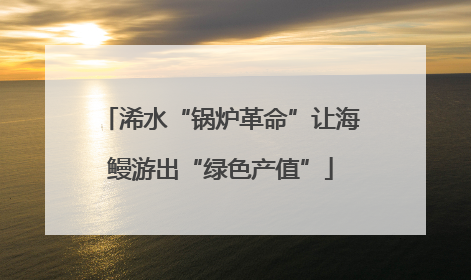 浠水“锅炉革命”让海鳗游出“绿色产值”
