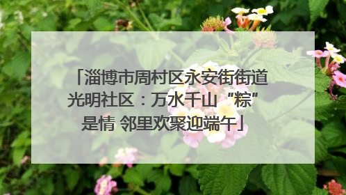 淄博市周村区永安街街道光明社区：万水千山“粽”是情 邻里欢聚迎端午