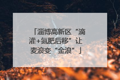 淄博高新区“滴灌+氮肥后移”让麦浪变“金浪”