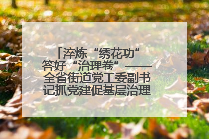 淬炼“绣花功” 答好“治理卷”——全省街道党工委副书记抓党建促基层治理培训示范班侧记