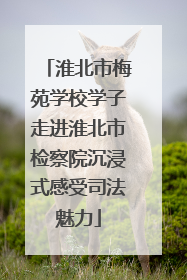 淮北市梅苑学校学子走进淮北市检察院沉浸式感受司法魅力