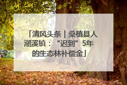 清风头条｜桑植县人潮溪镇：“迟到”5年的生态林补偿金