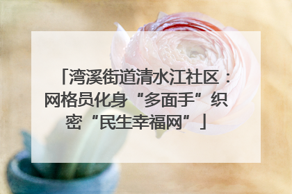 湾溪街道清水江社区：网格员化身“多面手”织密“民生幸福网”