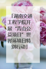 湖南交通工程学院开展“青山公益项目”世界环境日特别行动