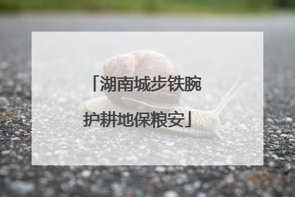 湖南城步铁腕护耕地保粮安