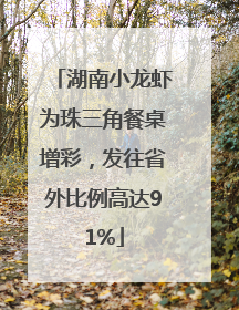 湖南小龙虾为珠三角餐桌增彩，发往省外比例高达91%