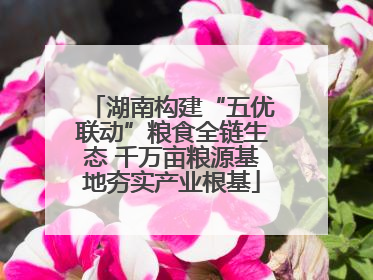 湖南构建“五优联动”粮食全链生态 千万亩粮源基地夯实产业根基