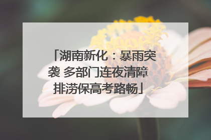 湖南新化：暴雨突袭 多部门连夜清障排涝保高考路畅