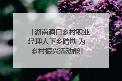 湖南洞口乡村职业经理人下乡踏勘 为乡村振兴添动能