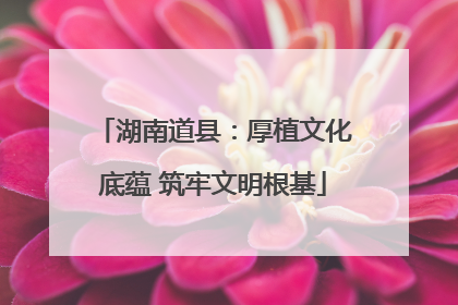 湖南道县：厚植文化底蕴 筑牢文明根基