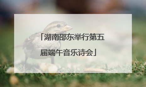 湖南邵东举行第五届端午音乐诗会