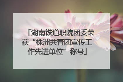 湖南铁道职院团委荣获“株洲共青团宣传工作先进单位”称号