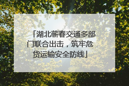 湖北蕲春交通多部门联合出击，筑牢危货运输安全防线