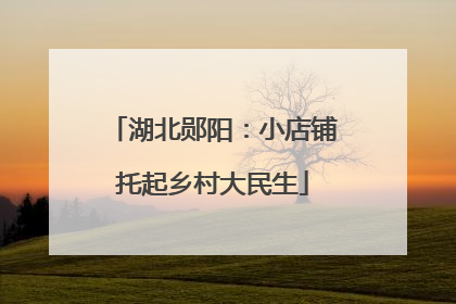 湖北郧阳：小店铺托起乡村大民生