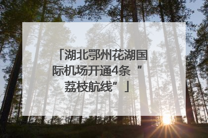 湖北鄂州花湖国际机场开通4条“荔枝航线”