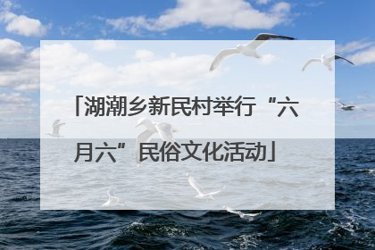 湖潮乡新民村举行“六月六”民俗文化活动