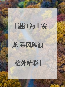 湛江海上赛龙 乘风破浪格外精彩