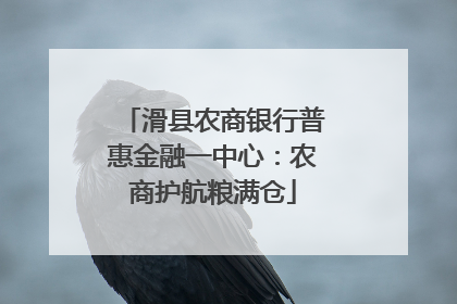 滑县农商银行普惠金融一中心：农商护航粮满仓