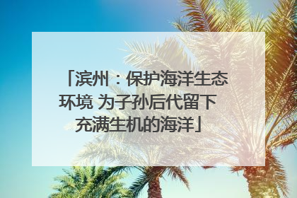 滨州：保护海洋生态环境 为子孙后代留下充满生机的海洋
