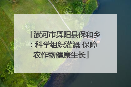 漯河市舞阳县保和乡：科学组织灌溉 保障农作物健康生长