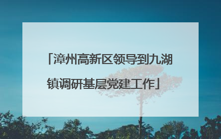 漳州高新区领导到九湖镇调研基层党建工作