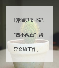 漳浦县委书记“四不两直”督导文旅工作