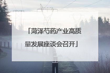 菏泽芍药产业高质量发展座谈会召开