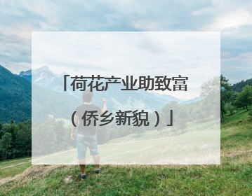 荷花产业助致富（侨乡新貌）