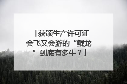 获颁生产许可证 会飞又会游的“鲲龙”到底有多牛？