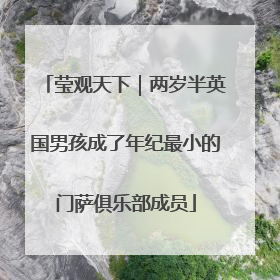 莹观天下｜两岁半英国男孩成了年纪最小的门萨俱乐部成员