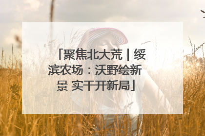 聚焦北大荒｜绥滨农场：沃野绘新景 实干开新局