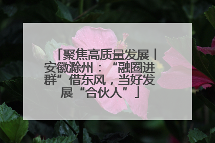 聚焦高质量发展丨安徽滁州：“融圈进群”借东风，当好发展“合伙人”