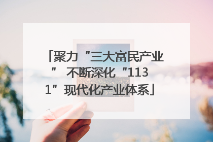 聚力“三大富民产业” 不断深化“1131”现代化产业体系