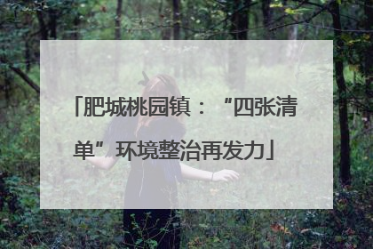 肥城桃园镇：“四张清单”环境整治再发力